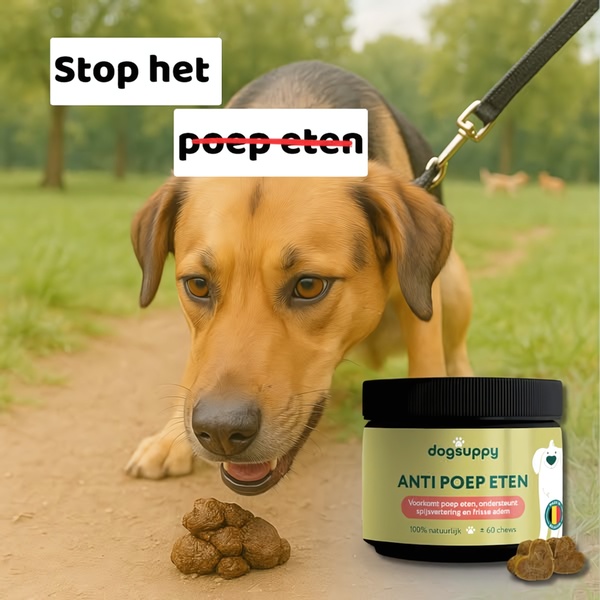 This static square ad for a dog digestion supplement uses a direct, problem-focused headline to address the common issue of coprophagia in dogs.
